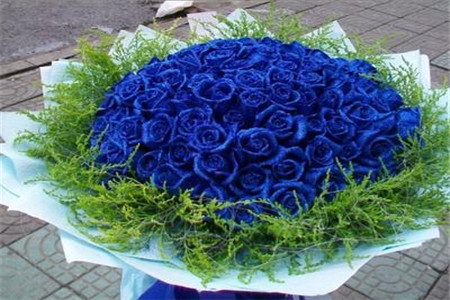 蓝色妖姬 蓝色妖姬