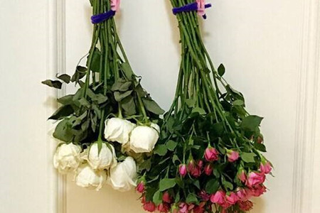 玫瑰干花