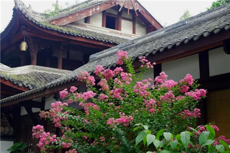 被花包围的大慈寺