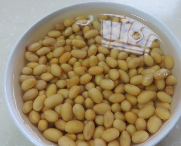 玉树