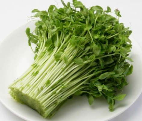 阳台种菜