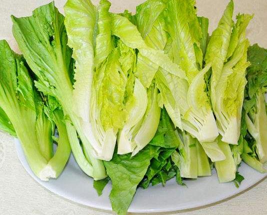 种菜