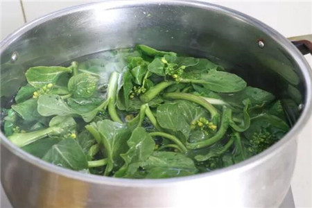 焯菜水
