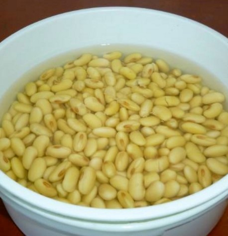 黄豆