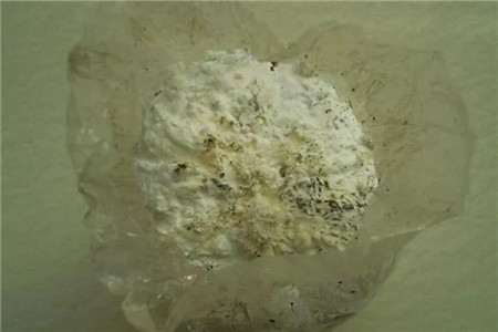 向菌包上喷点水