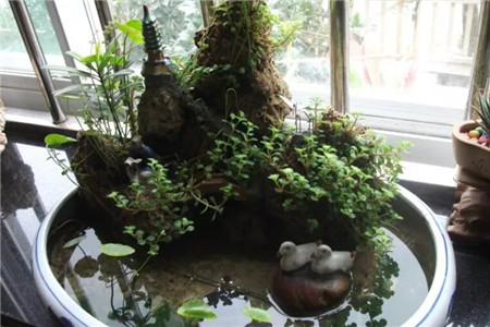 盆栽水景