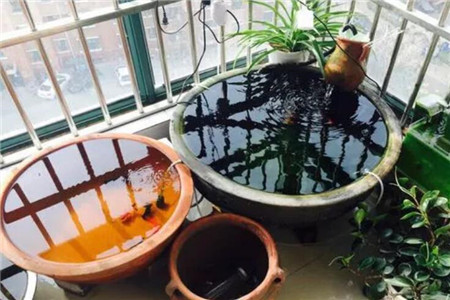盆栽水景