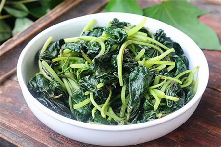 地瓜叶做菜 地瓜叶做菜