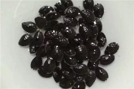 百香果