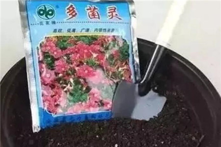 药剂