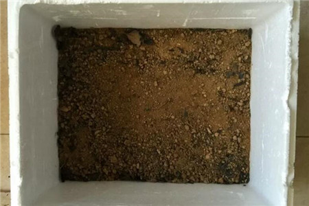 堆置沤土