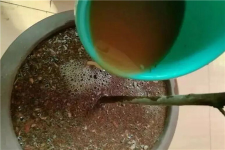 红泥养根