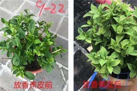 对比