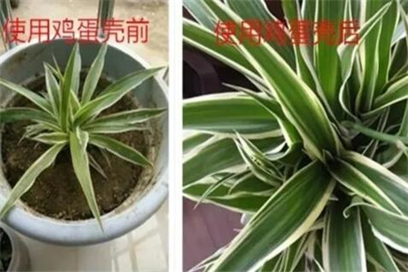 对比