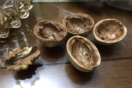 核桃壳