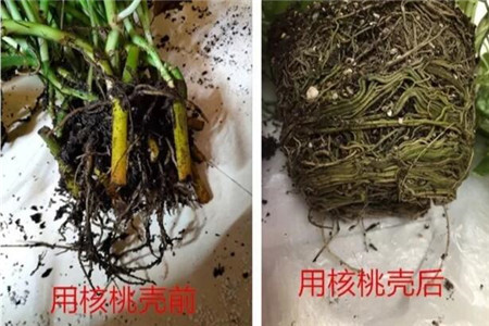 对比