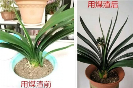 对比