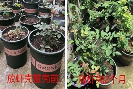 对比