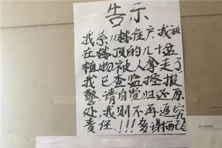 告示