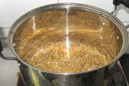 黄豆水