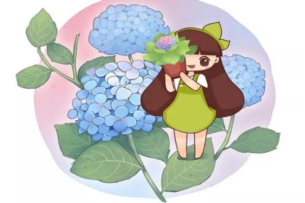 绣球花竟然越养越绿,赶紧咔嚓掉,秋后还能开一茬! 绣球花竟然越养越绿,赶紧咔嚓掉,秋后还能开一茬!