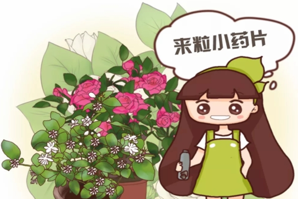 水里扔粒小药片，花喝了砰砰直爆盆，邻居嫉妒得眼红！