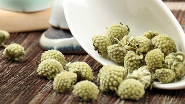 绿萝花的功效与作用 绿萝花的功效与作用
