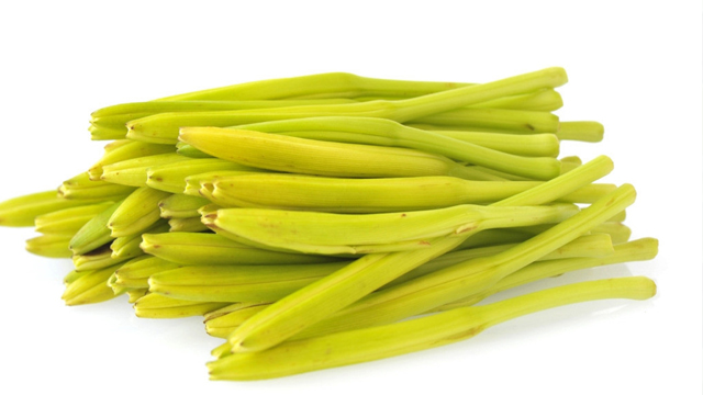黄花菜有毒吗