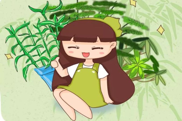 这8种竹子，个个都是聚宝盆，有钱人都在养！