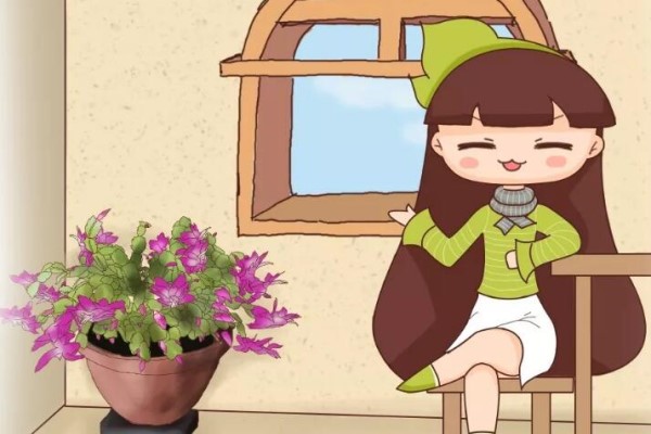 蟹爪兰叶子软塌塌？赶紧浇点它，根根直立，猛爆花芽！