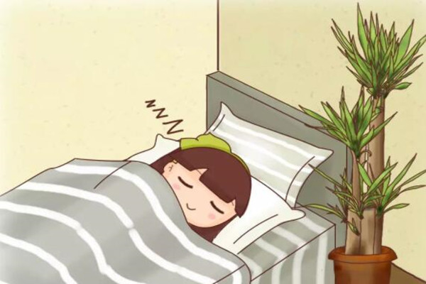 卧室禁养这种花,晚上睡不好,惹来一身病! 卧室禁养这种花,晚上睡不好,惹来一身病!