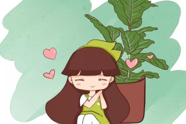 客厅一盆大型花，高端上档次，吸甲醛效果翻倍！