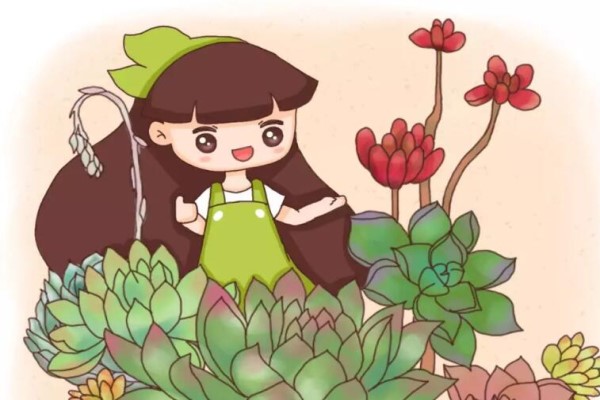 小窗台上养盆它,档次高有逼格,越老越值钱! 小窗台上养盆它,档次高有逼格,越老越值钱!