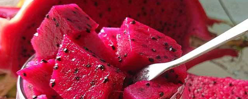 蜜宝和红心火龙果有什么区别