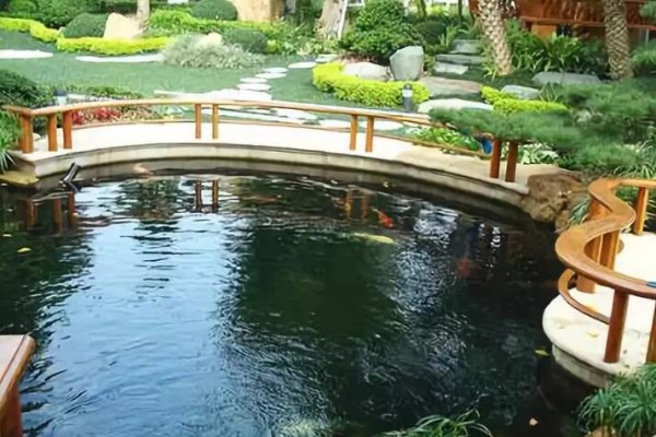 家里有水景,主人必富贵,只因…… 家里有水景,主人必富贵,只因……