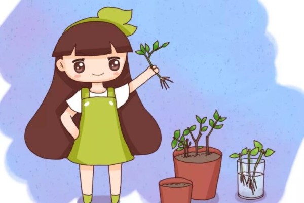 这3种花现在扦插,100%活,错过还要等1年! 这3种花现在扦插,100%活,错过还要等1年!