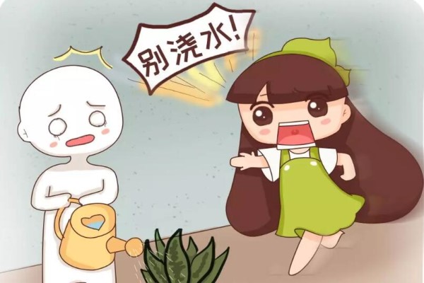 晚上浇了一盆水，一夜之间叶子全黄了，急死人！