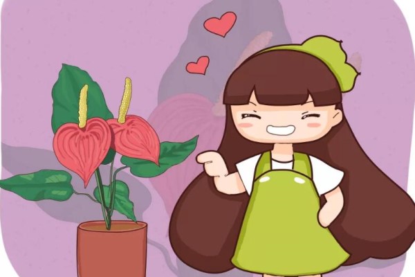 这花四季都开,真怕把它累死,不养一盆太可惜! 这花四季都开,真怕把它累死,不养一盆太可惜!