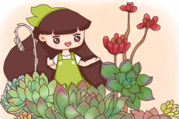 立冬后，多肉这么养，立马胖3圈，肥大饱满水汪汪！