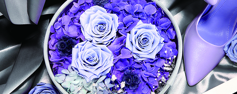 永生花花语 永生花花语