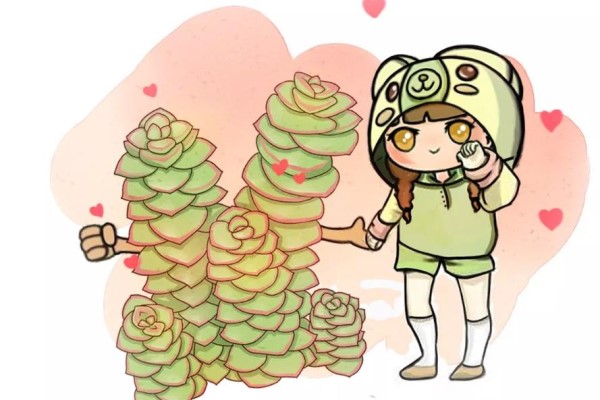 为了多肉，我花了六七百万……