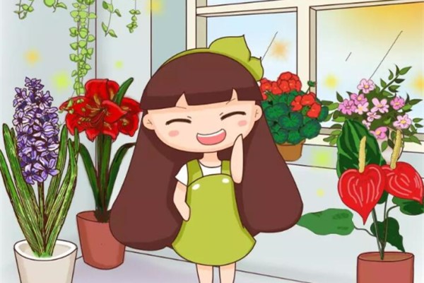 冬天就养这6种花，满屋飘香，比绿萝值多了！