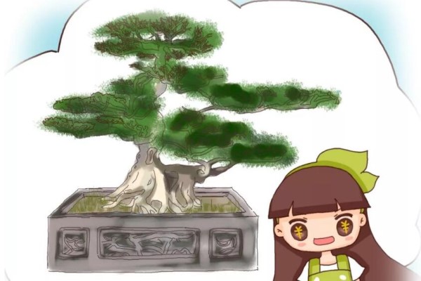 这花富人最爱养，招财又纳福，嫌太贵别花钱，剪根枝就能活！