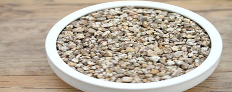 盆栽土表面放些什么