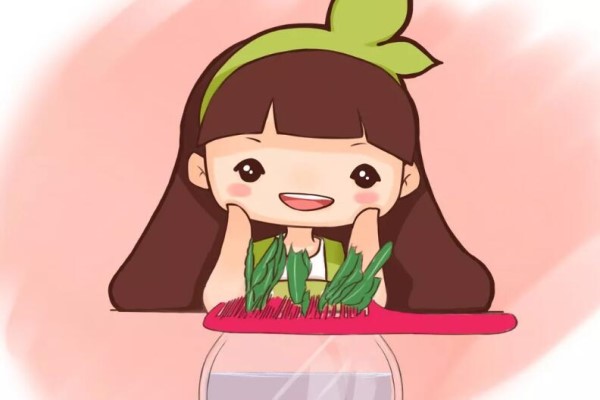 摘片蟹爪兰叶子，插在旧梳子上，竟然冒出一排狗牙根！