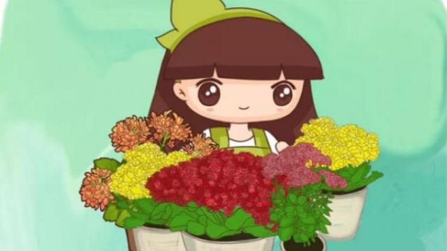 长寿满头花苞，就是不开花，原来是因为···