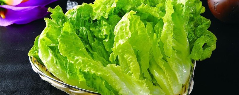 二月三月种什么蔬菜