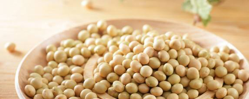大豆什么时候种 大豆什么时候种