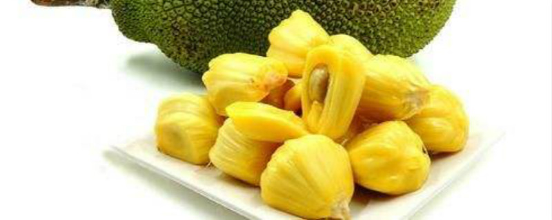 成熟的菠萝蜜什么样 成熟的菠萝蜜什么样