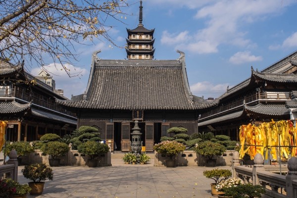 唐僧出家的寺庙，100个和尚在养花，闹市中美成仙境！